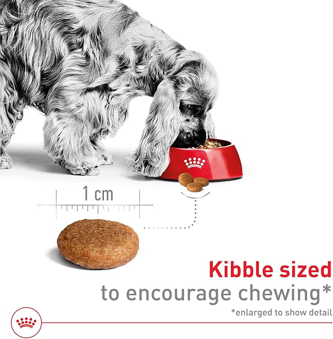 Royal Canin Size Health Nutrition Medium Adult Dry Dog Food, 40 lb Bag