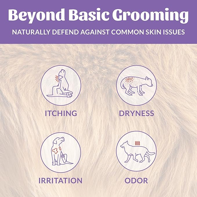 Skout's Honor Probiotic Dog Shampoo & Conditioner with Avocado Oil & Omega-3s, 97% Natural, Paraben & Sulfate-Free, Cruelty-Free, 16oz, Lavender