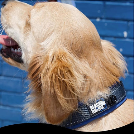 Black Rhino Dog Collar for Large Dogs - Adjustable Reflective Heavy Duty Dog Collar with Ultra-Soft Neoprene Padding - Weatherproof, Durable, and Comfortable for Active Dogs - Sport Blue and Black