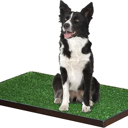 Four Paws Wee-Wee Premium Patch Indoor and Outdoor Pet Potty for Dogs l Dog Potty Training l Artificial Grass l Wee-Wee Patch