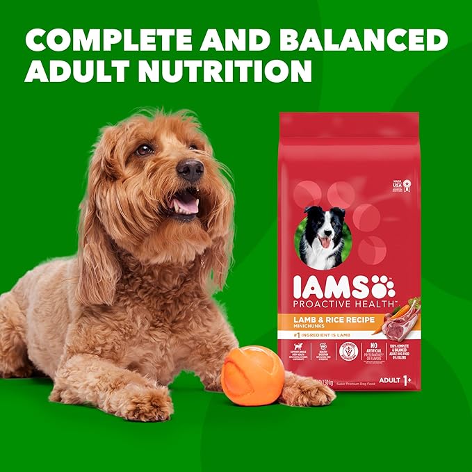 IAMS Proactive Health Minichunks Adult Dry Dog Food with Lamb & Rice, 15 lb. Bag