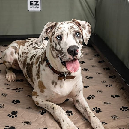 EZwhelp Reusable Dog Pee Pads, Washable Waterproof Mats for Potty Training or Whelping Pads, Puppy Pad with Rounded Corners, 36x48 Inch, 2 Pack