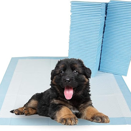 BV Puppy Pads Leak-Proof 50 Count 22"x 22" - Absorbent Pee Pads for Dogs with 6-Layer Design, Rapid Dry Sheet & Built-in Attractant - Dog Pad with Odor Control, Perfect for Puppies & Senior Dogs