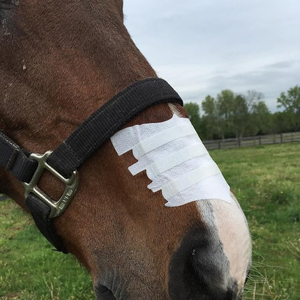 Flair Equine Nasal Strips for Horses (Cow, 6 Pack), Adhesive Equine Nasal Strips & Support, Breathing Improvement for Competition and Training Horses, Equine Health Supplies, Breathing Aid