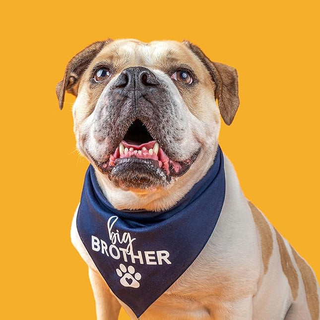 Big Brother Heart Paw Dog Bandana | 100% Cotton Adjustable Triangle | Pregnancy Announcement Photoshoot Prop | New Baby | Made in USA | Matching Family | Purple X-Small (87)