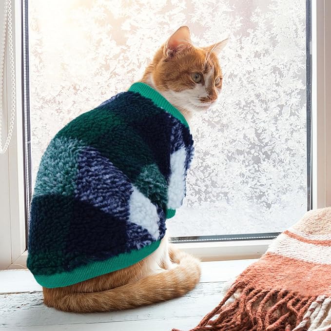 Cat Clothes -2 Legged Pullover Cat Sweater Soft Warm Pet Apparel Kitten Clothes for Kittens Only Elastic, Green XL