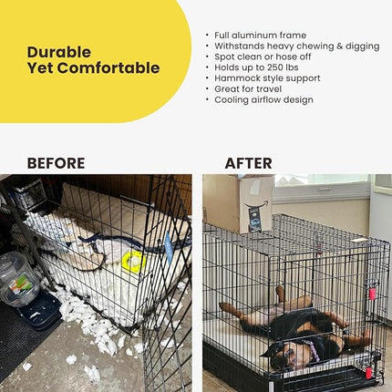 K9 Ballistics Chew Proof Elevated Outdoor Cooling Cot Bed for Medium Dogs - Virtually Indestructible, Preassembled, Withstands Aggressive Chewers - M, Ripstop Blue Quartz