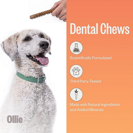 Ollie Dental Chews for Large Dogs, 12 Oz, Fresh Breath, Teeth Cleaning Treats, Sticks for Dog Oral Care, with Parsley and Cinnimon, for Pups 51 lbs and Above