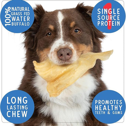 Pet Craft Supply Grass Fed Water Buffalo Ear 16 Count (Pack of 1) Pig Ears for Dogs Alternative Free Range Long Lasting Dog Chew and Treat for Aggressive Chewers and Puppies