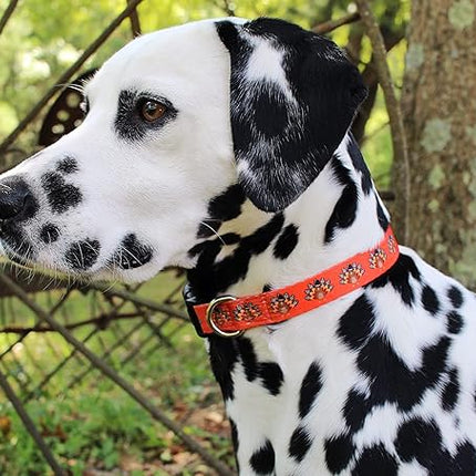 Limeloot Thanksgiving Dog Collar, Adjustable Fall Dog Collar in Small, Medium, and Large, Holiday Collar for Female and Male Dogs, Turkey, Medium