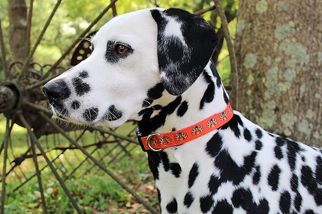 Limeloot Thanksgiving Dog Collar, Adjustable Fall Dog Collar in Small, Medium, and Large, Holiday Collar for Female and Male Dogs, Turkey, Medium