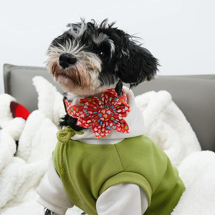 Maca Bates Valentine's Day Dog Collar with Floral Bow for Extra Small Girl Boy Dogs,Colorful Love Hearts Pattern,Adjustable Durable Soft Valentine Gift for Female Male Puppy