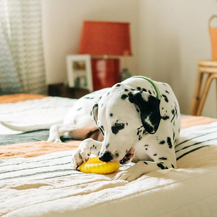 Playology Dog Toys | Dual Layer Ring Durable Chew Toy for Aggressive Chewers | Jumbo Chicken Scented Toy - Easy to Clean and Made from Non Toxic Materials