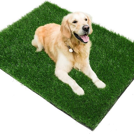 Grass Pad for Dogs 39.3 x 19.7 inches, Strong Absorbency Soft and Real Grass for Pets Potty Training, Easy to Clean Fake Grass for Dog Indoor Outdoor Use (1 Pack)
