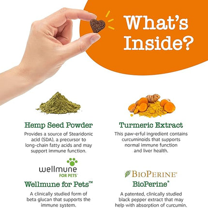 Zesty Paws Mobility Bites Joint Supplement for Dogs - Soft Chews with Glucosamine for Dogs, Chondroitin, & MSM + Vitamins C and E - Hemp - Chicken - 90ct