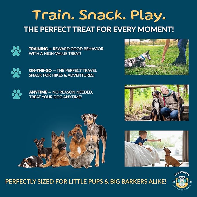 Beef Lung Nuggies Dog Treats – Single Ingredient, High Protein, Low Odor, Natural Crunchy Training Treats for Dogs – USA Sourced, Grain-Free, All-Natural (4 lb Bag)