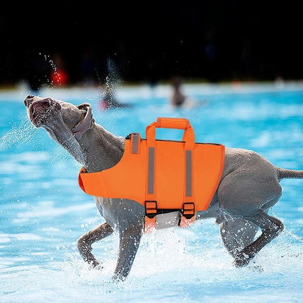 Queenmore Dog Life Jacket - Adjustable Swim Vest with Rescue Handle, Zipper (Orange, XS)
