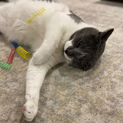 SPOT Colorful Springs Cat Toys – 3" Bouncy Coils for Indoor Cats & Kittens to Swat, Chase & Bite, Safe Lightweight Plastic, Interactive Enrichment Toys, 10-Pack Multi-Color