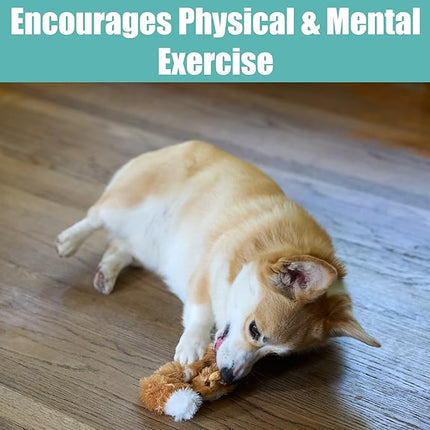 SPOT Skinneeez Fox – 14" Stuffing-Free Plush Squeaky Dog Toy for Small & Medium Dogs, Best for Light to Moderate Chewers, Mess-Free Play