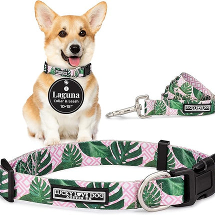Lucky Love Dog, Tropical Matching Dog Collar & Leash Set, Soft & Comfy, Vivid Pink Color Collar and Leash for Female Male Dogs - (Small, Laguna Combo)