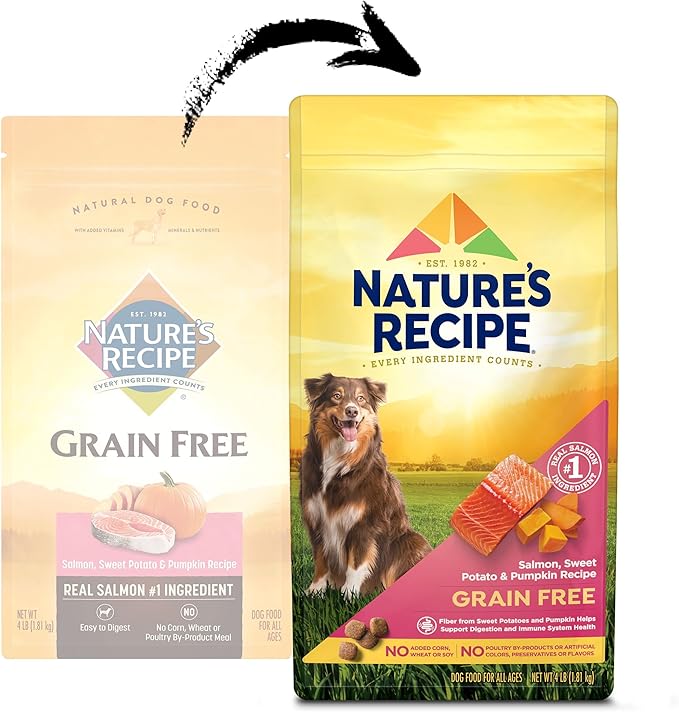Nature′s Recipe Grain Free Salmon, Sweet Potato & Pumpkin Recipe Dry Dog Food, 4 lb. Bag (Pack of 2)