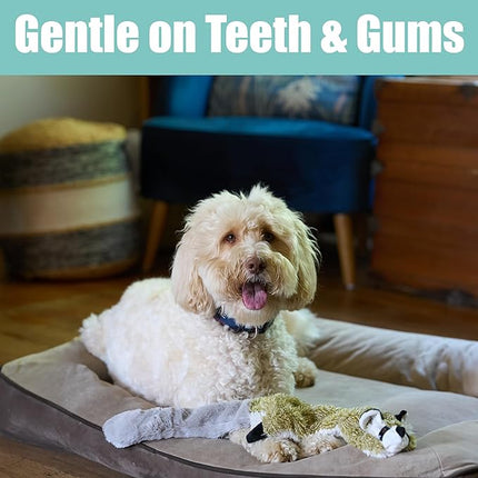 SPOT Skinneeez Raccoon 23 Inch Stuffing-Free Dog Toy – Soft Plush Tug Toy with Two Squeakers for Medium and Large Dogs – Mess-Free Interactive Chew Toy