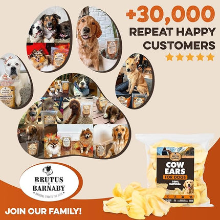 BRUTUS & BARNABY Cow Ears for Dogs – Whole Ears 12 ct, Thick Cut, Grass-Fed Angus Beef, All-Natural No-Rawhide Dog Treat Alternative