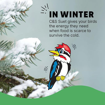 C&S High Energy Suet Treat, Wild Bird Food for Woodpeckers, Nuthatches, Chickadees and Jays, 8 Pack