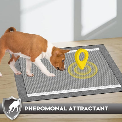 CROCI Charcoal Puppy Pads with Adhesive Tabs, 28x34in Extra Large Pee Pads for Dogs, Odor-Control Super Absorbent Quick-Dry Leak-Proof, Disposable (40 Counts)