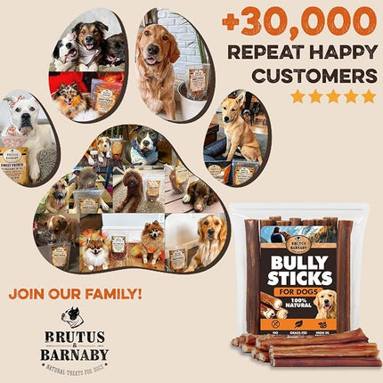 BRUTUS & BARNABY Bully Sticks for Dogs, 6" – Low-to-No Odor, Grass-Fed, Rawhide-Free Chews for Aggressive Power Chewers