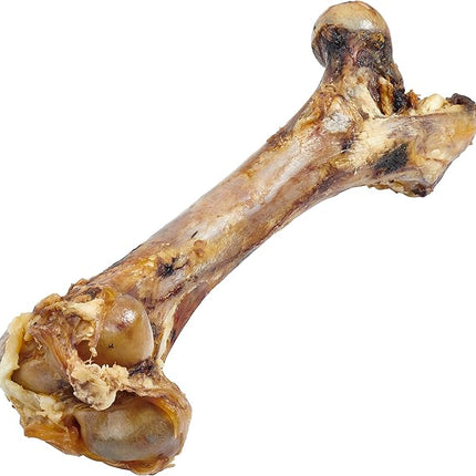 EcoKind Dog Bone Giant Femur Bone for Dogs | 1 Bone | Long Lasting Mammoth Dog Bones for Aggressive Chewers, Rawhide Free Healthy Dog Treat, Large Bones, Digestible Dog Chews & USDA Certified