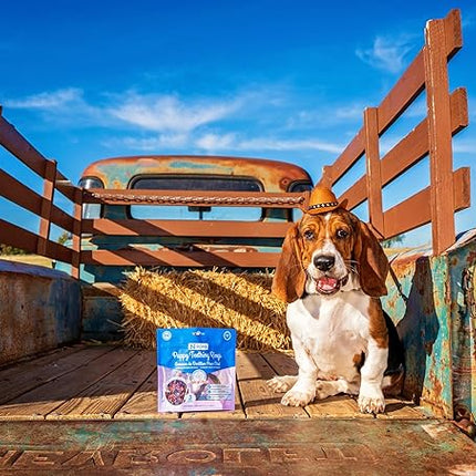 N-Bone Puppy Teething Rings Taste of Texas Burnt Ends Flavor 3 Count