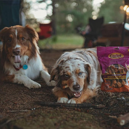 Cadet Gourmet Shish Kabob Dog Chews for Large Dogs, Rawhide Treats with Chicken and Sweet Potato, Healthy & Natural Pork Hide, 10-Inch Sticks, 4 Count