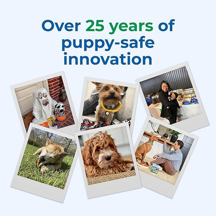 N-Bone Puppy Teething Sticks Peanut Butter Flavor, 3.74-oz Bag