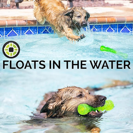 Hyper Pet DuraSqueaks Dog Toy Balls and Chews (Squeaky Dog Ball For Interactive Play – Floating Balls and Toys) - Medium Stick