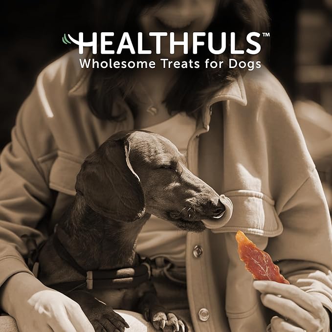 Chicken Tenders Dog Treats, 11oz