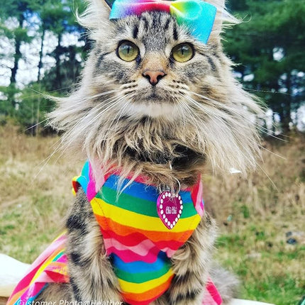 Fitwarm Rainbow Striped Dog Dress, Summer Dog Clothes for Small Dogs Girl, Pet Cat Outfit, 100% Breathable Cotton, Red Yellow Blue, Large