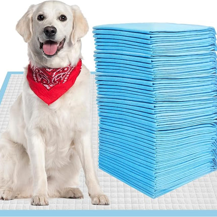 CALPALMY XL Pet Training Pee Pads (50-Count) - X-Large 28" x 34" Training Pad, Disposable Thicken Pee Pads for Dogs, Puppies, Large Dogs, Cats, and Rabbits - Quick Absorb Doggie Potty Pads