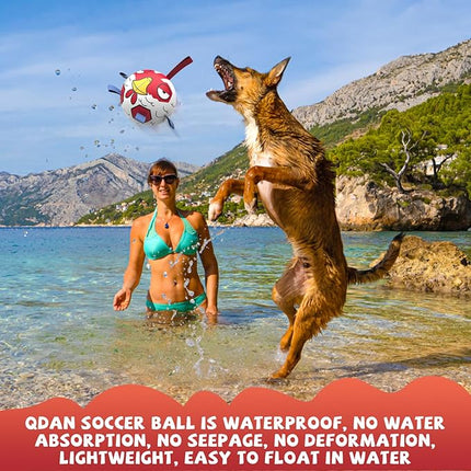 QDAN Dog Balls Toys, Dog Soccer Ball Toy Soccer Balls with with Straps, Dog Toys, Pet Puppy Birthday Gifts for Small Medium Dogs, 6 Inch, Chicken Ball