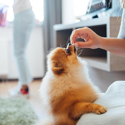 Exclusively Dog Best Buddy Bits Training Treats for Dogs and Puppies - All Natural, Baked in The USA, Ideal for Training & Agility, No Animal Byproducts - Cheese Flavor, 5.5oz Resealable Bag