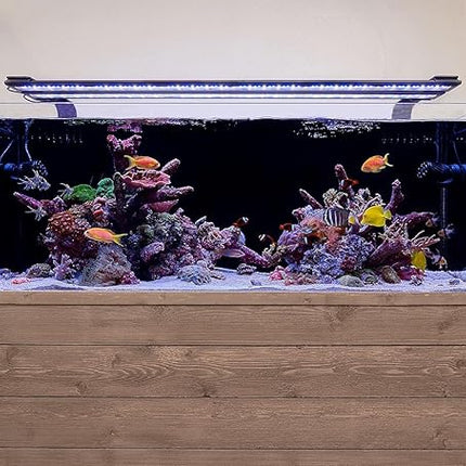 Current USA 24-36" Inch Orbit Marine LED Saltwater Reef Marine Aquarium Light | 24 Hour IR Lighting & eFlux Wave Pump Control | Adjustable Color Spectrum for Fish Tank (4101)