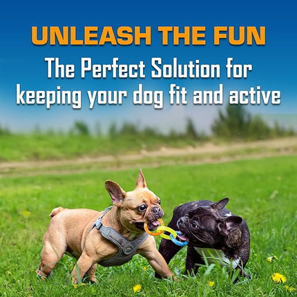 Nerf Dog 3-Ring Tug Outdoor Dog Toy, 7.5 Inch Ring Dog Tug Toy for Puppies and Small Breeds, Blue/Green/Orange
