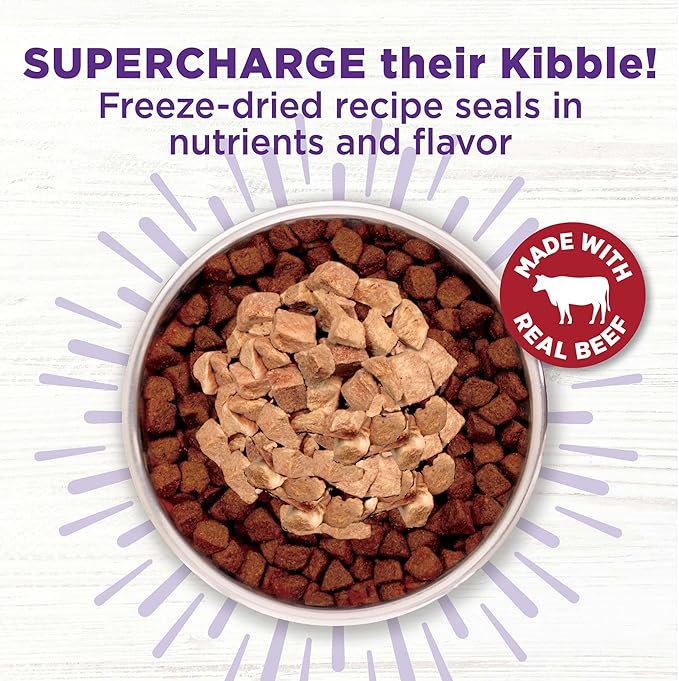 Wellness Bowl Boosters Bare, Dog Food Topper for Small, Medium, & Large Breeds, Grain Free, Natural, Freeze Dried, Beef, 4 Ounce Bag (Pack of 1)