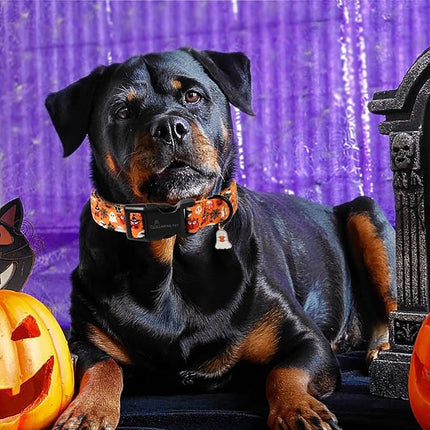 ARING PET Halloween Dog Collar, Ghost Pumpkin Spider Web Skeleton Pet Collars for Small Medium Large Girl Boy Dogs Puppy Collar with Quick Release Buckle-L Size