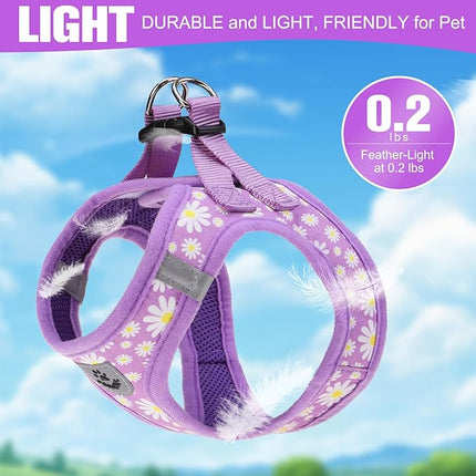 EXPAWLORER Small Dog Harness and Leash Set - Cute Spring Puppy Harness Leash Dog Collar with AirTag Holder Silicone Case, Soft Padded Step in Pet Vest Reflective for Outdoor Walking, Purple Daisy S