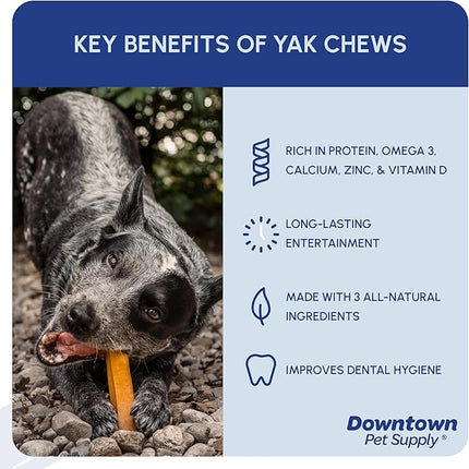 Downtown Pet Supply Regular Yak Chew 2 lbs. (1 lb 15.5 OZ 2 lb 1 OZ) - NEPAL