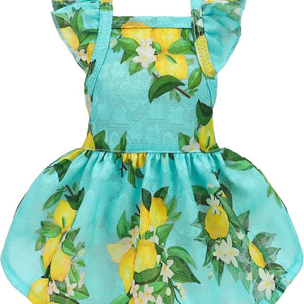 Fitwarm Lemon Dog Dress, Dog Clothes for Small Dogs Girl, Pet Cat Apparel, Teal Blue, Yellow, Green, Medium