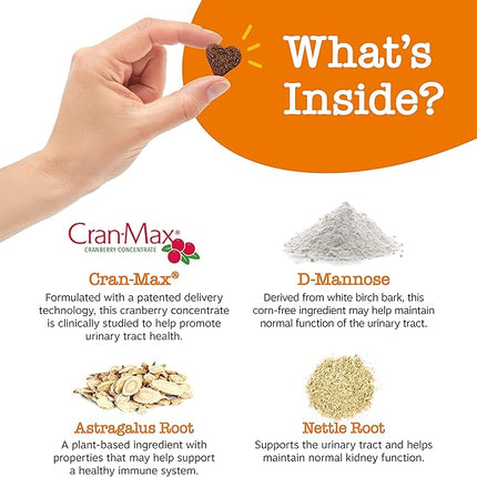 Zesty Paws Cranberry Supplement for Dogs - Bladder Control for Dogs - Urinary Tract Support - Cranberry Chews with D-Mannose, Vitamin B6 & L-Arginine - Immune & Gut Support - Bacon - 90 Count