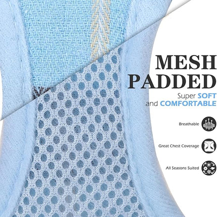 EXPAWLORER Classic Plaid Puppy Harness - Small Dog Harness and Leash Set - Dog Collar and Leash Set with AirTag Holder, Soft Padded Step in Dog Vest Harness No Pull Reflective for Outdoor, Blue XXS