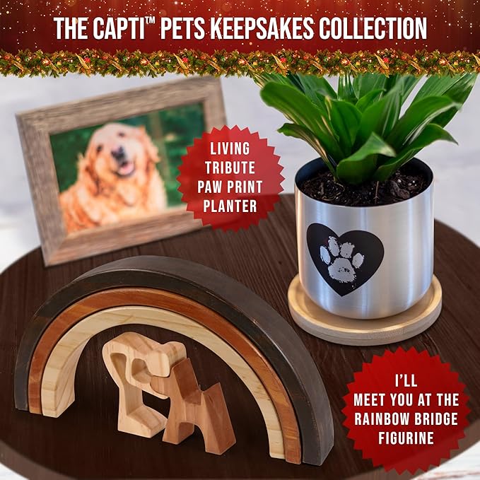 Capti Rainbow Bridge Memorial Gifts - I'll Meet You at The Rainbow Bridge - Pet Loss Keepsakes for Dog Moms & Dads, Bereavement Sympathy Gifts